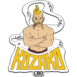 logo FINAL kozako